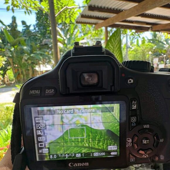 CAMERAS - Picture 5 of 5